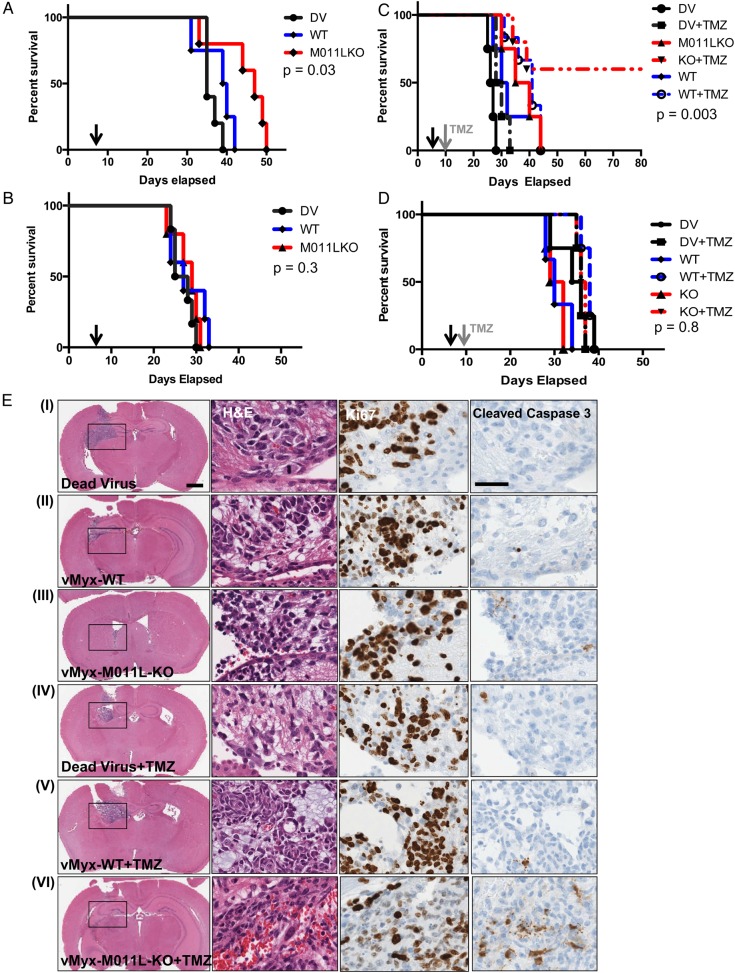 Fig. 4.