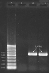 Figure1