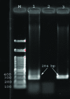 Figure2