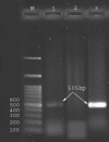 Figure3