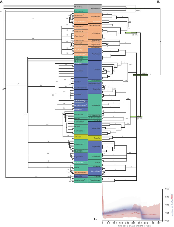 Fig. 8