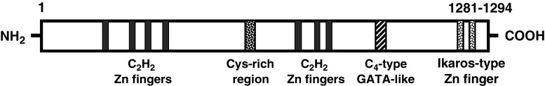 Fig. 3