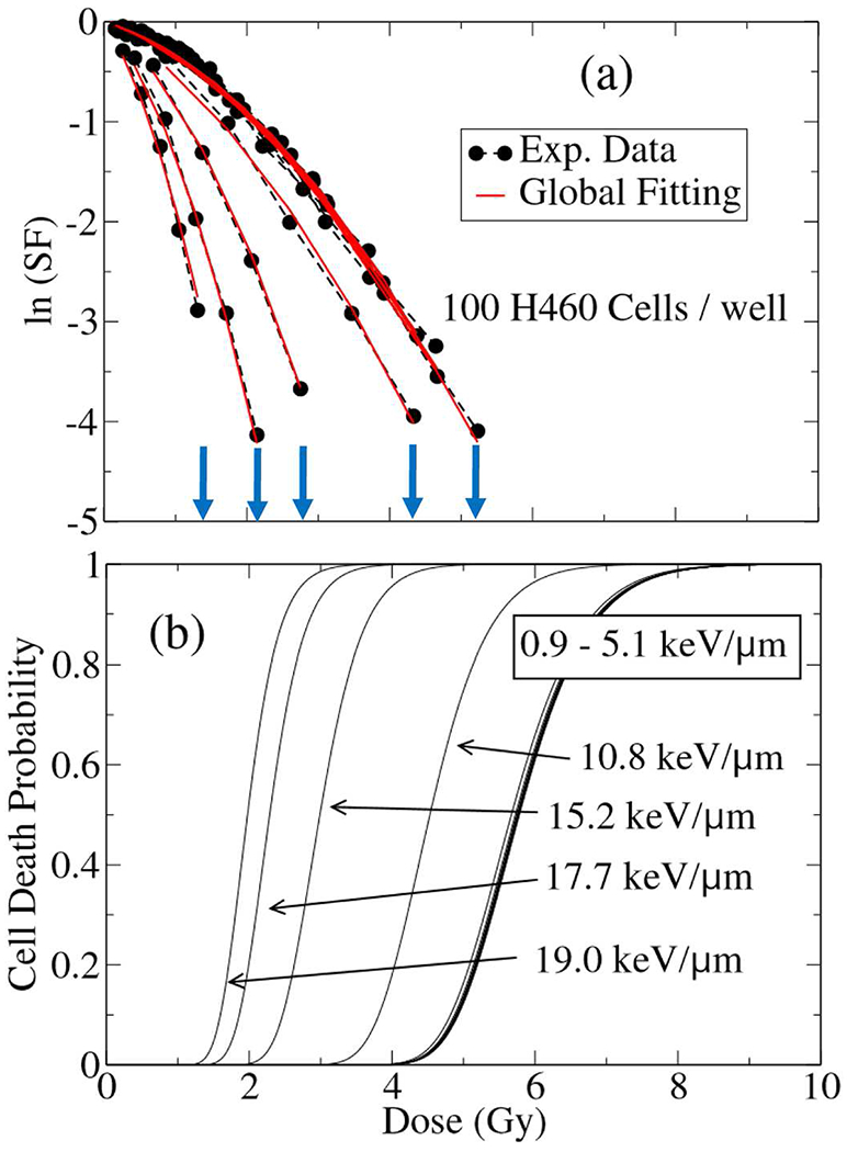 Fig. 10.