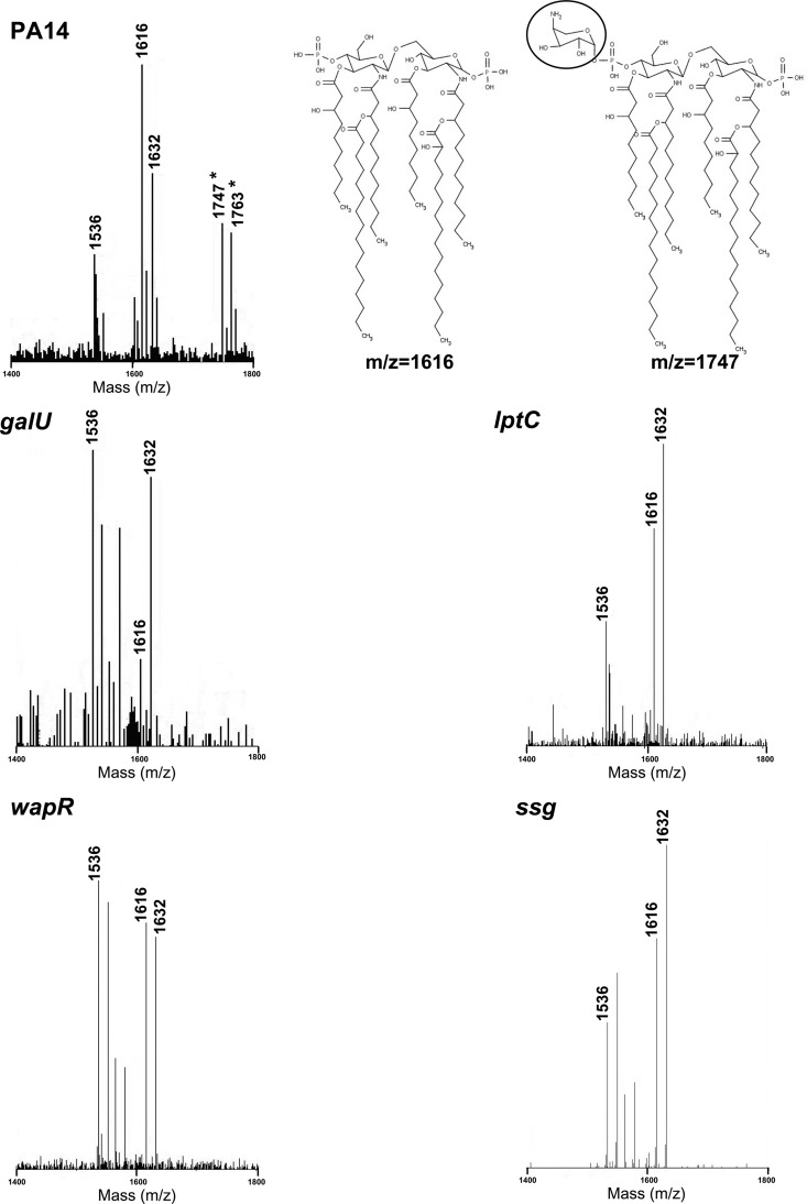 Fig 4