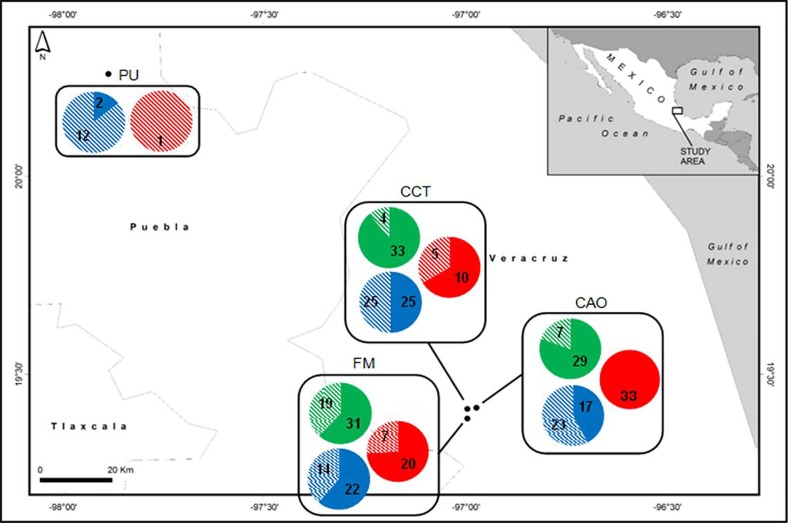 Fig 7