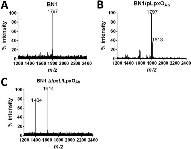 FIG 2