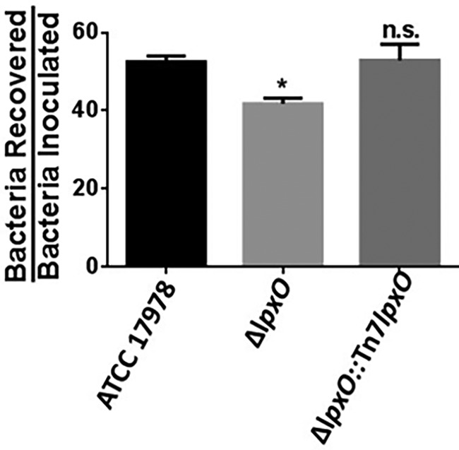 FIG 4