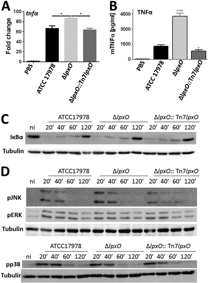 FIG 6