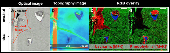 Fig. 4