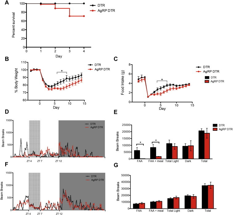 Figure 6