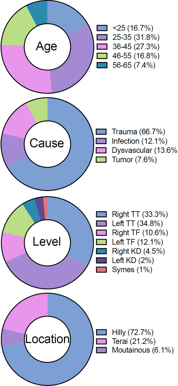 Figure 1: