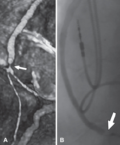 Figure 4)