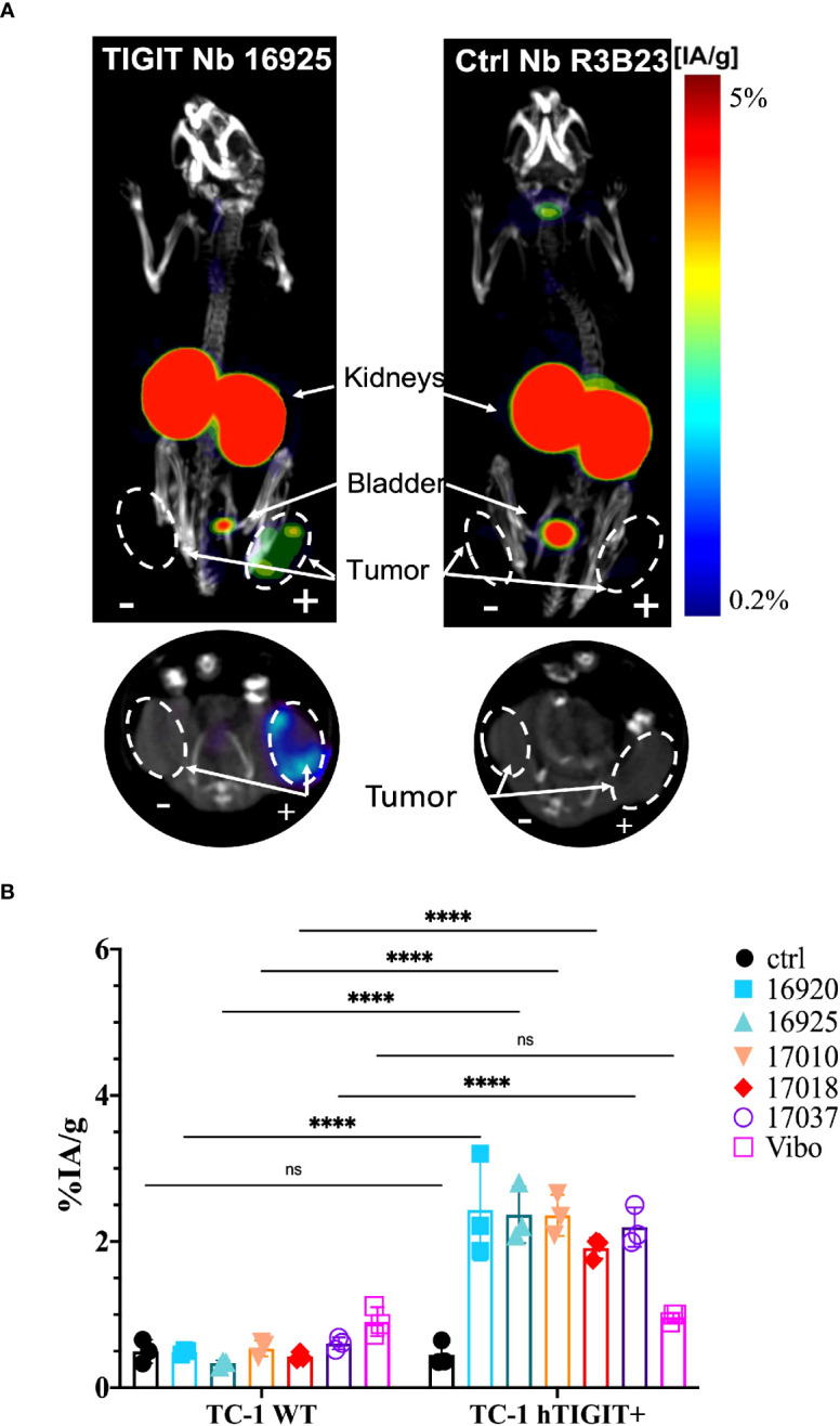 Figure 4