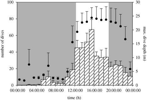 Figure 2.