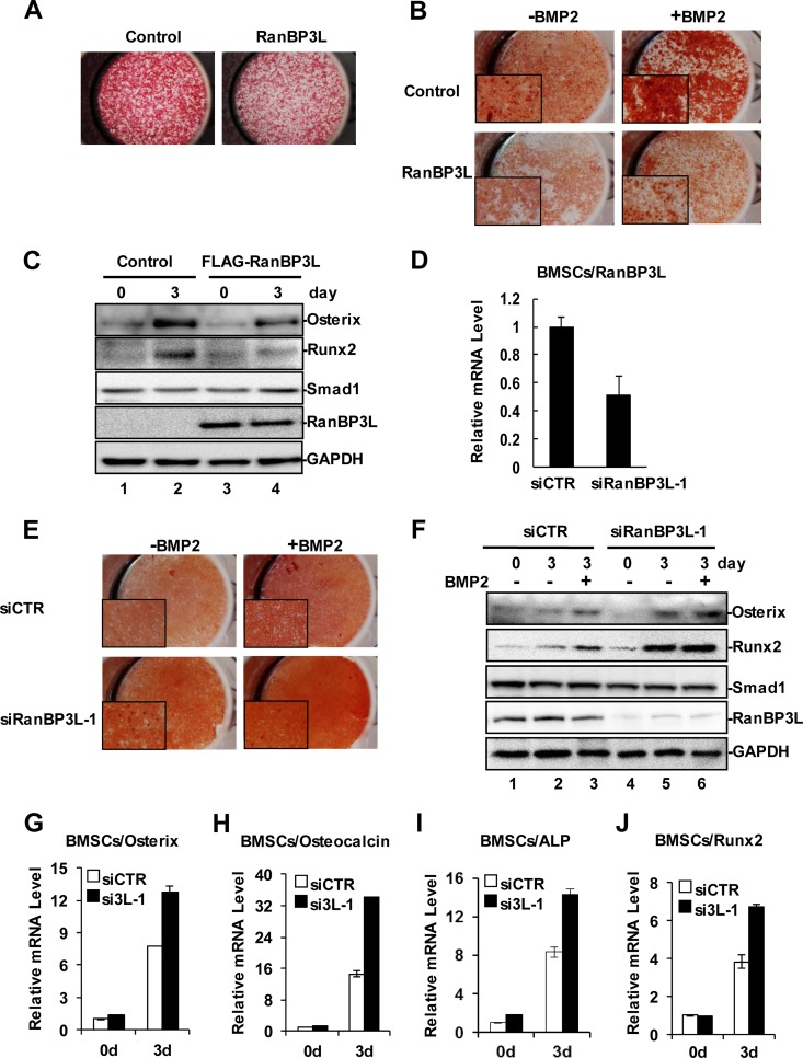 FIG 3