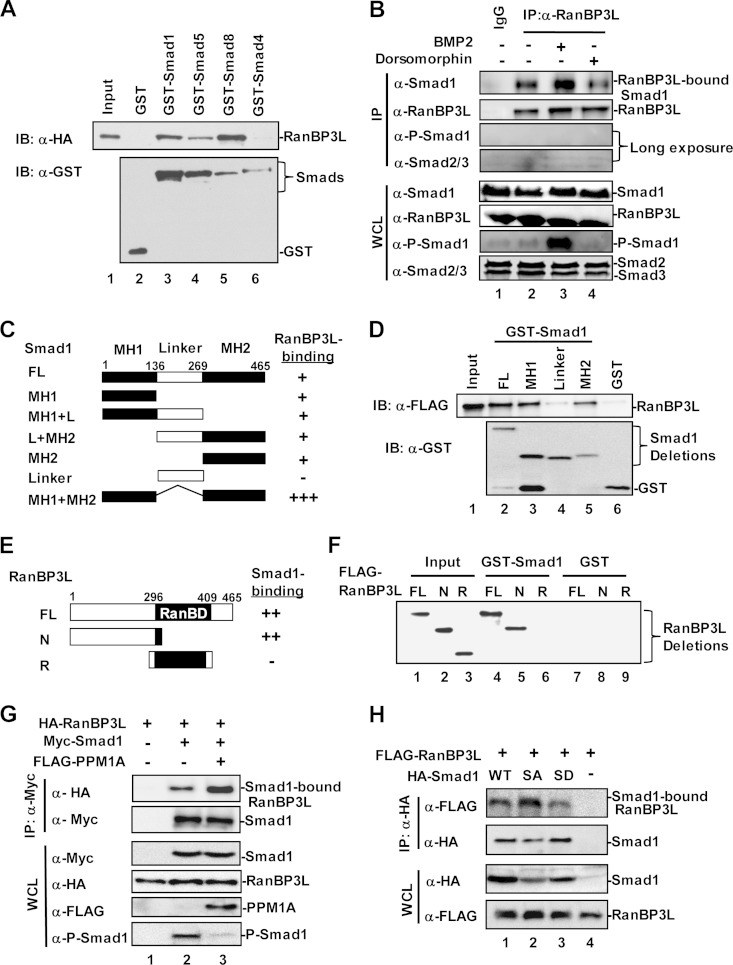 FIG 5