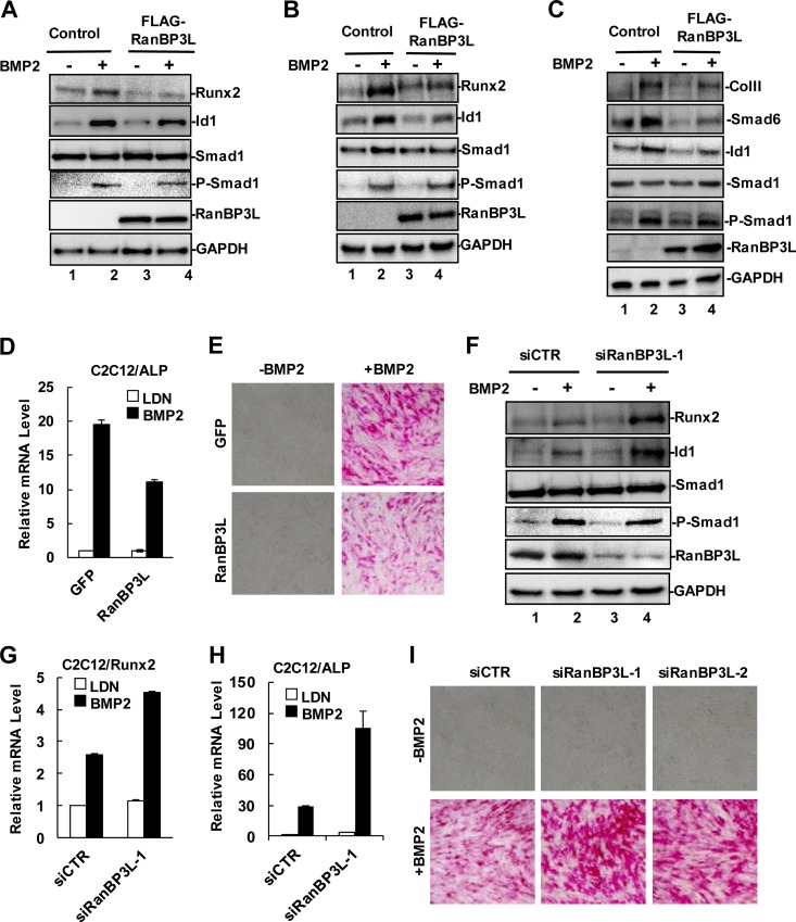 FIG 2