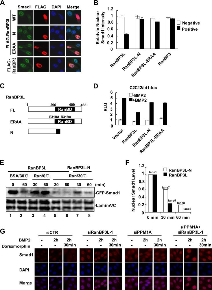 FIG 6