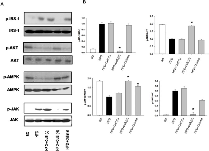 Fig 7