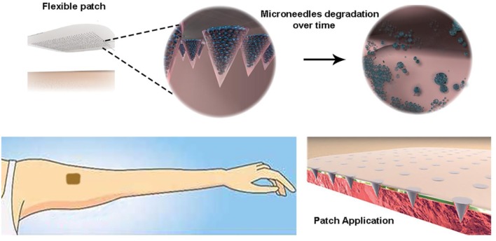 Graphical Abstract