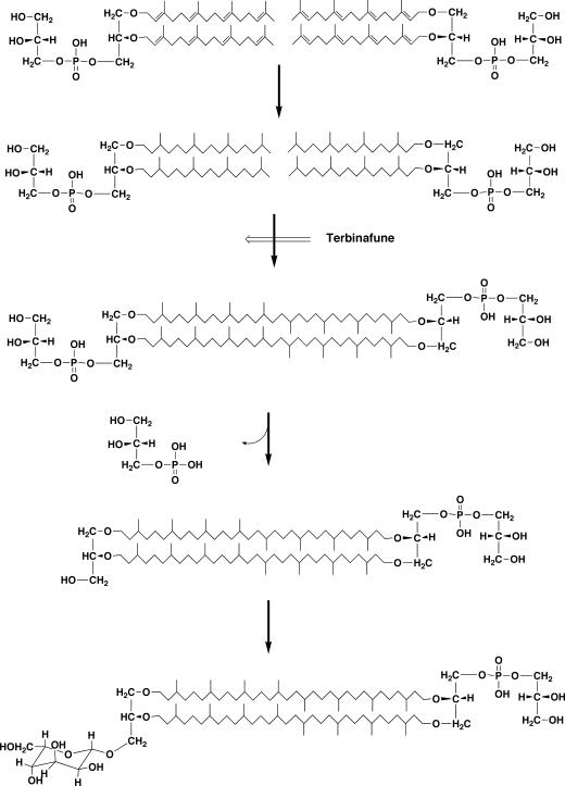 FIG. 11.