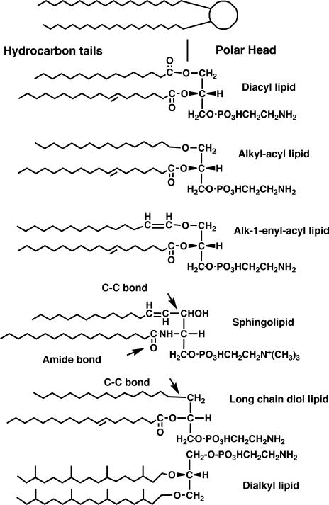 FIG. 12.