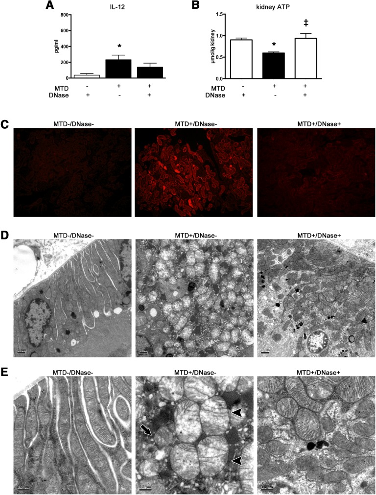 Figure 10.