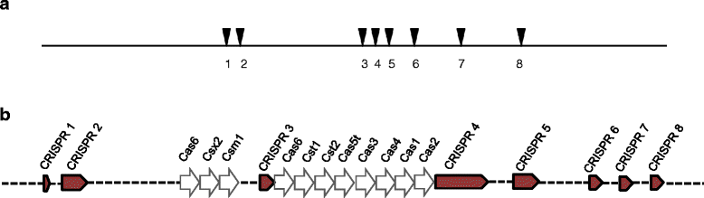 Fig. 5