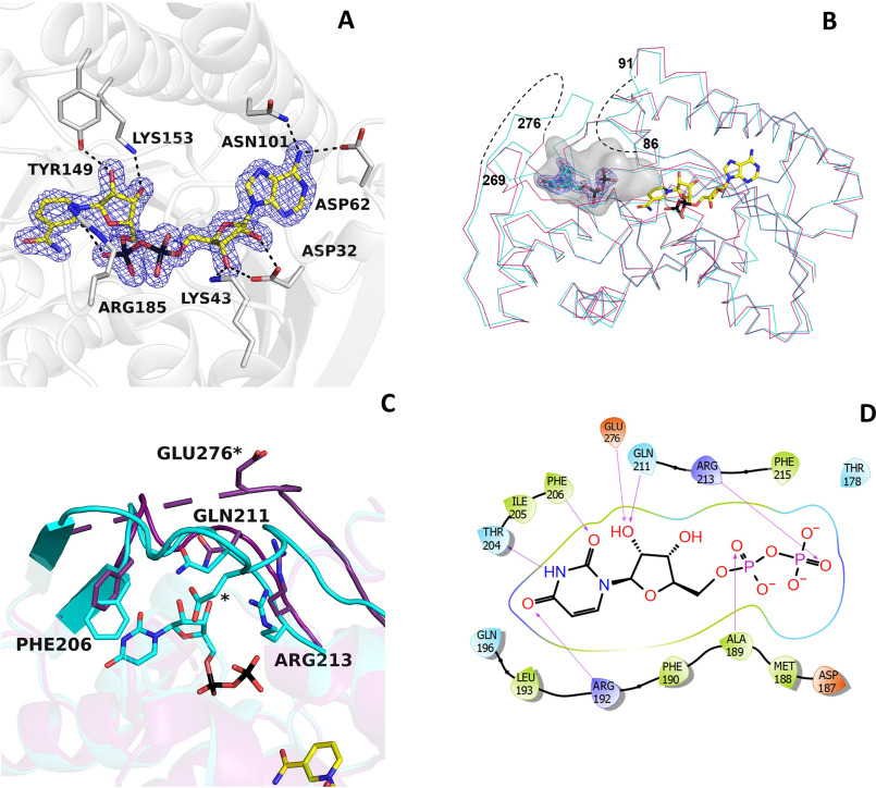 Figure 2.