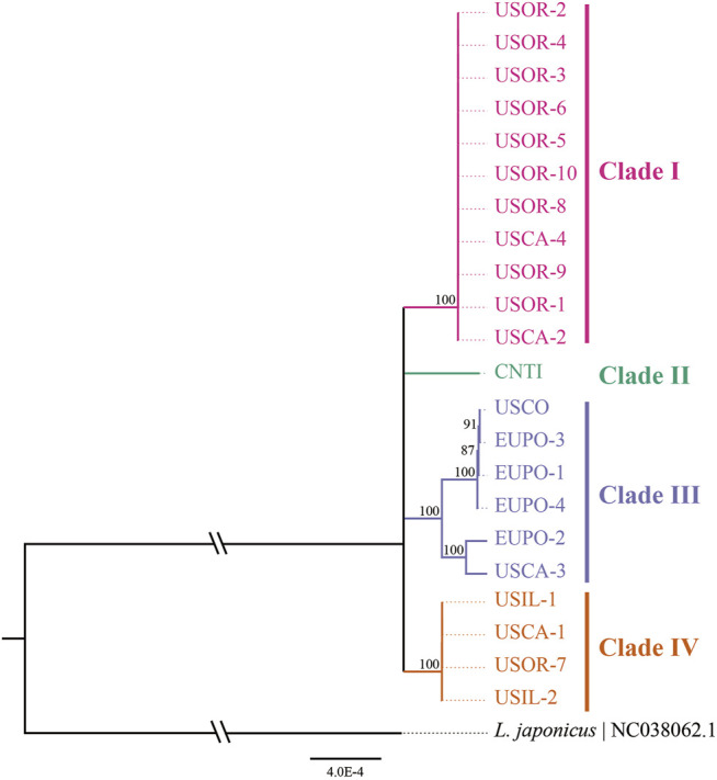 FIGURE 7