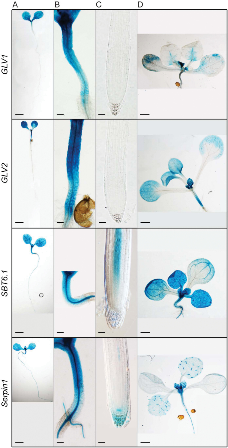 Fig. 2.