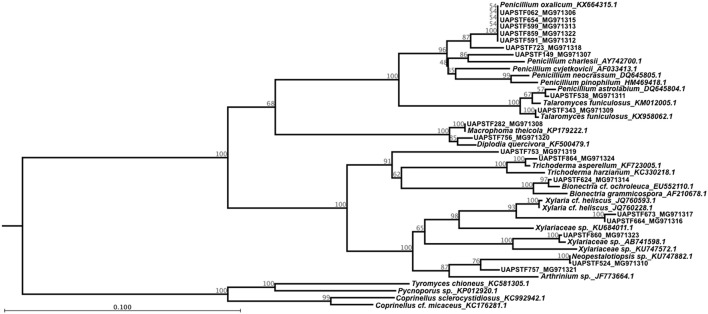 Figure 6