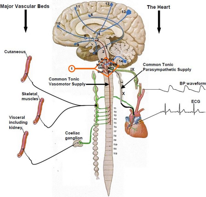 FIGURE 2