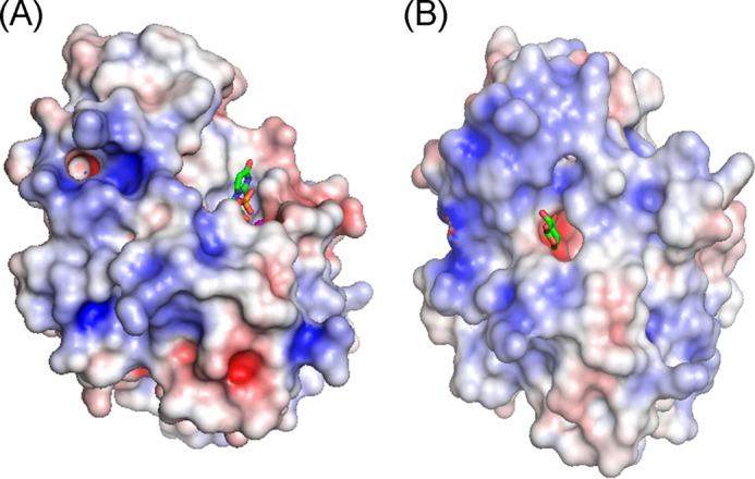 FIGURE 3.