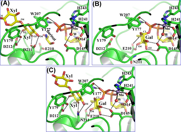 FIGURE 2.