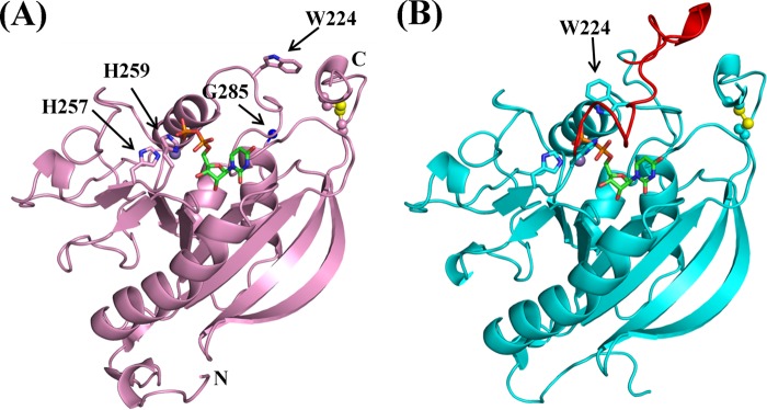 FIGURE 1.