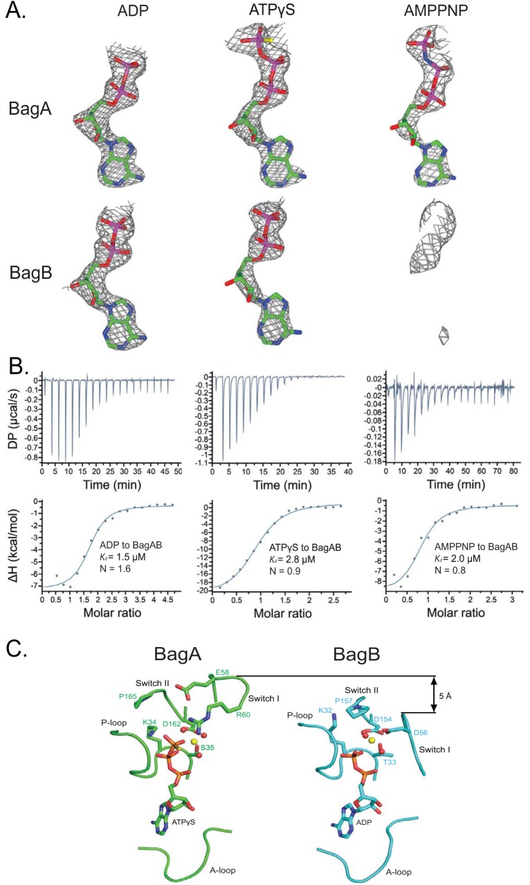 FIG 3