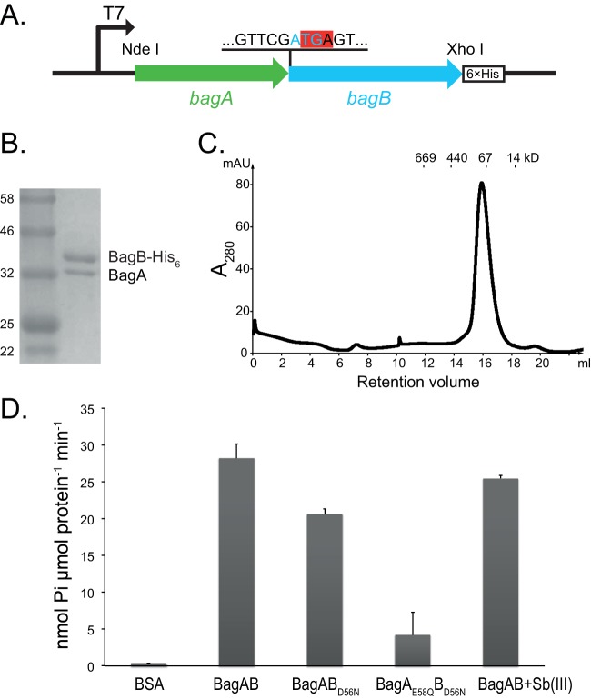 FIG 1