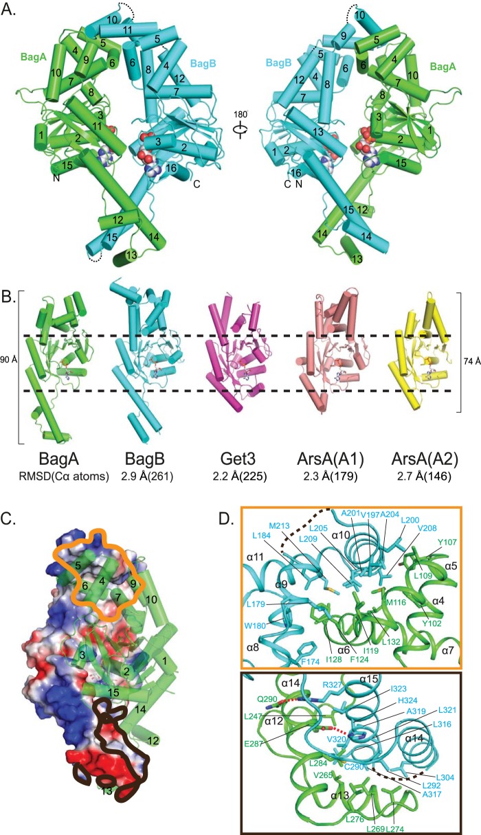 FIG 2