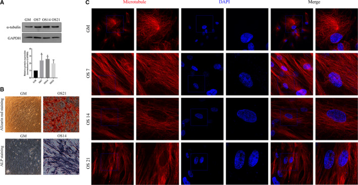 Figure 6