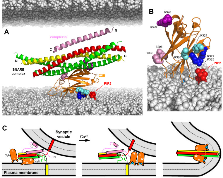 Figure 10.