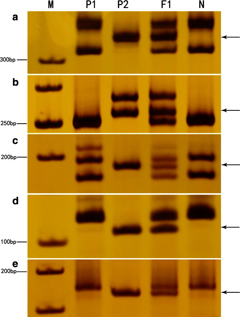 Fig. 7