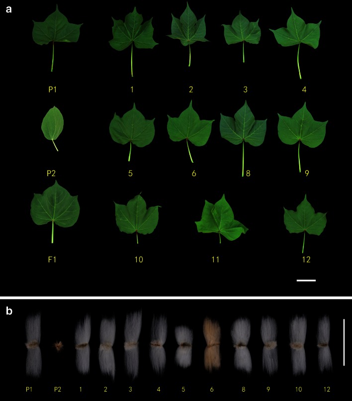 Fig. 4