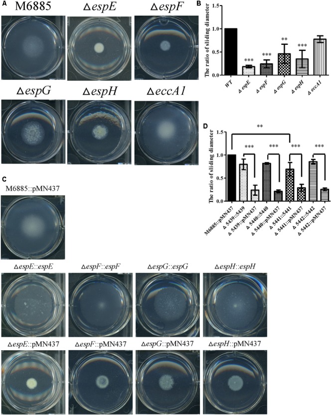 FIGURE 3