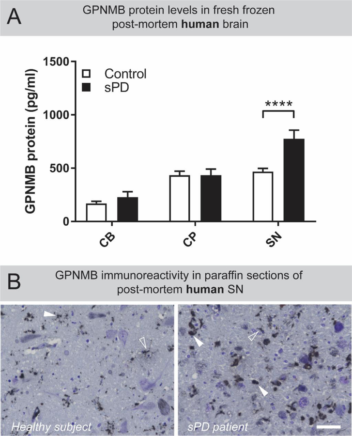 Figure 1: