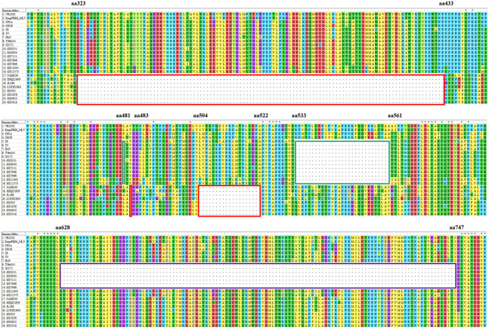 Figure 4