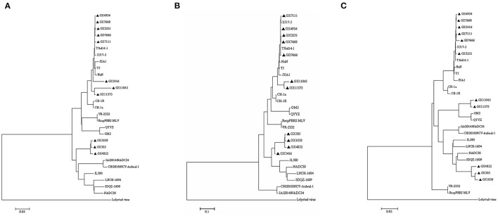 Figure 6