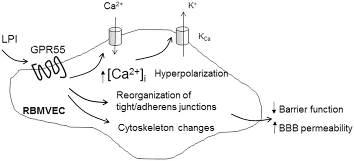 Fig. 9.