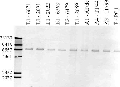 FIG. 7.