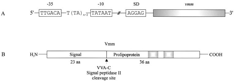 FIG. 6.